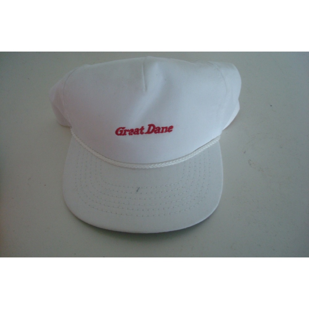 GREAT DANE    SnapBACK BEACH GOLF DEADSTOCK HAT CAP VINTAGE H1‎